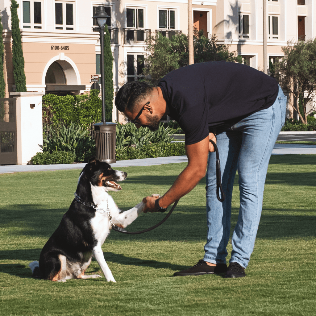 Man shaking with dog