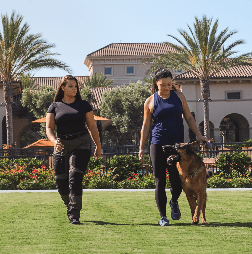 Carly walking with a dog